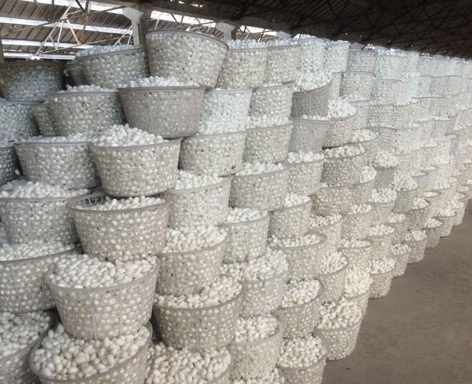 商務部關于繭絲綢行業“十四五”發展的指導意見