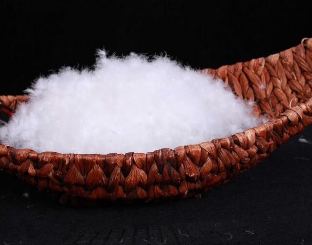 鵝絨和鴨絨羽絨服哪個更好?